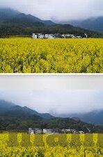 今天足球预测比分-今天足球预测比分，科学分析与激情碰撞的完美结合