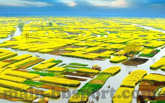足球比分即时比分网-足球比分即时比分网，球迷的数字战场与信息中枢